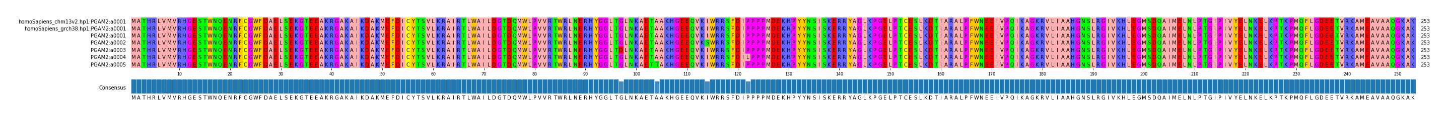 Multiple Alignments (by translate haplotype frequency)