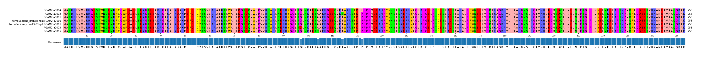 Multiple Alignments (by translate haplotype similarity)