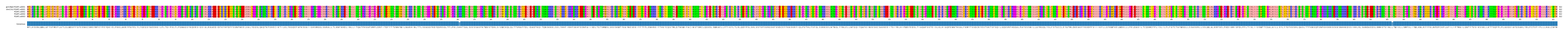 Multiple Alignments (by translate haplotype frequency)