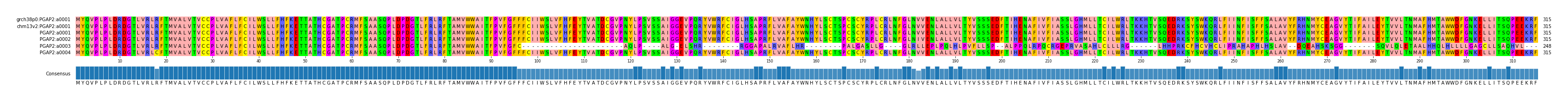 Multiple Alignments (by translate haplotype frequency)