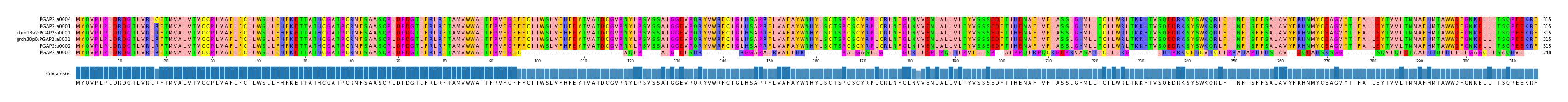 Multiple Alignments (by translate haplotype similarity)