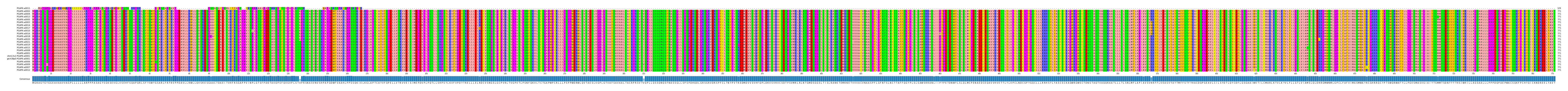Multiple Alignments (by translate haplotype similarity)