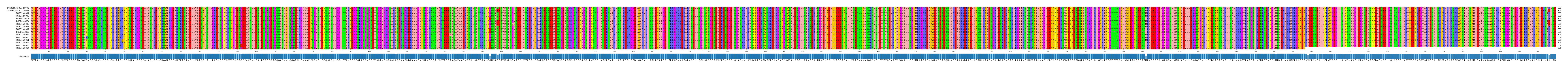 Multiple Alignments (by translate haplotype frequency)
