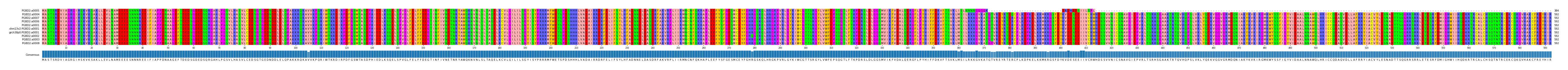 Multiple Alignments (by translate haplotype similarity)