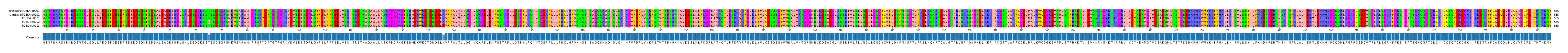 Multiple Alignments (by translate haplotype frequency)