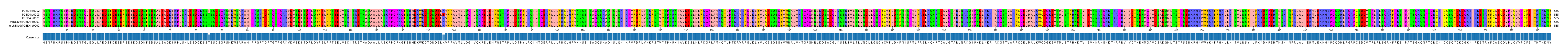 Multiple Alignments (by translate haplotype similarity)