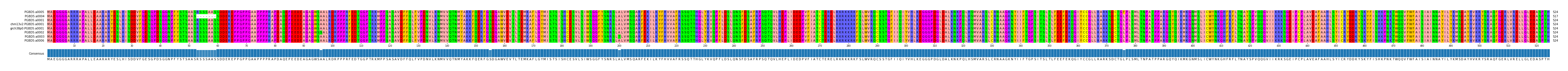 Multiple Alignments (by translate haplotype similarity)