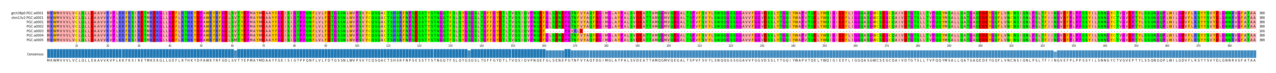Multiple Alignments (by translate haplotype frequency)
