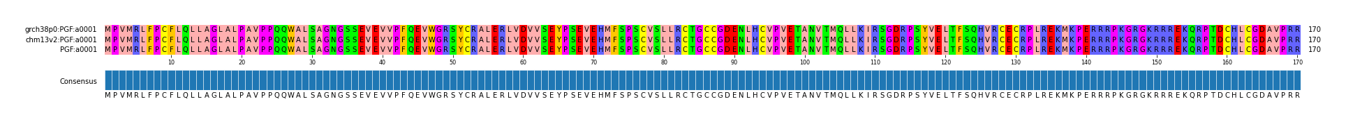Multiple Alignments (by translate haplotype similarity)