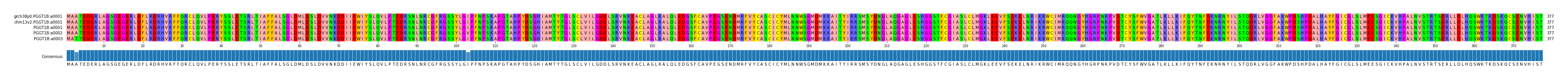 Multiple Alignments (by translate haplotype frequency)