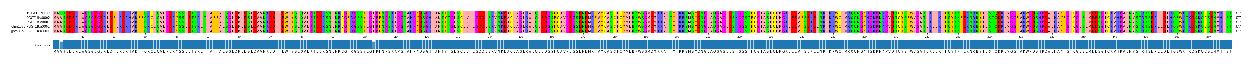 Multiple Alignments (by translate haplotype similarity)