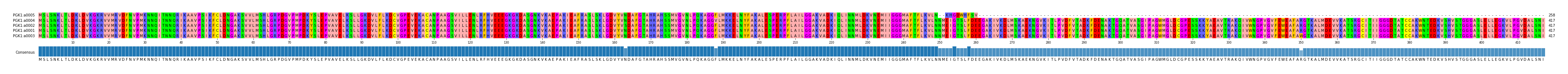 Multiple Alignments (by translate haplotype similarity)