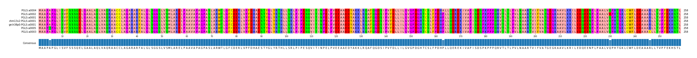 Multiple Alignments (by translate haplotype similarity)