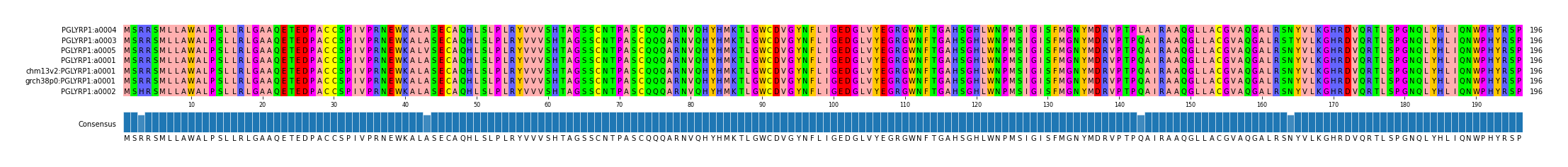 Multiple Alignments (by translate haplotype similarity)