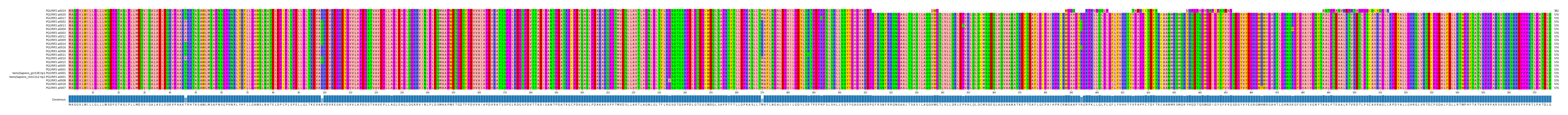 Multiple Alignments (by translate haplotype similarity)