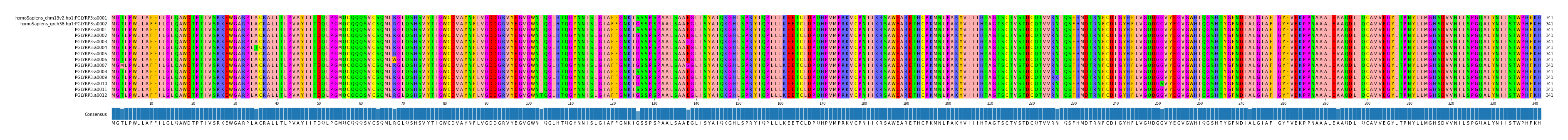 Multiple Alignments (by translate haplotype frequency)
