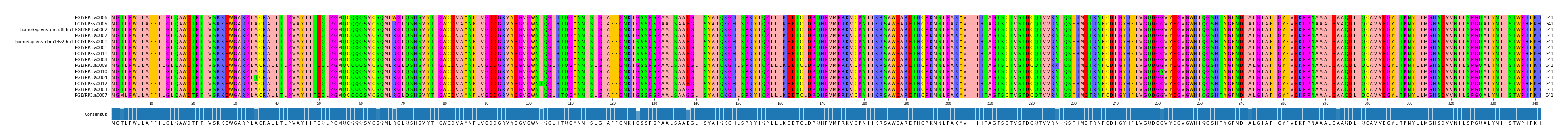Multiple Alignments (by translate haplotype similarity)