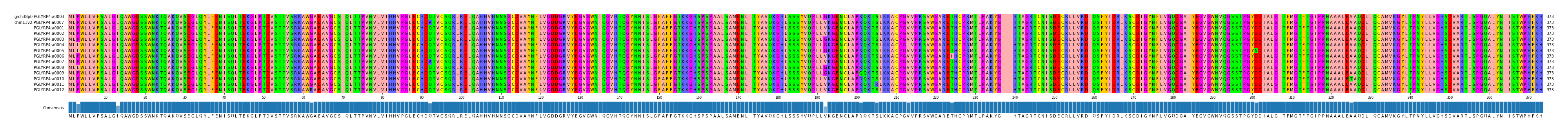 Multiple Alignments (by translate haplotype frequency)