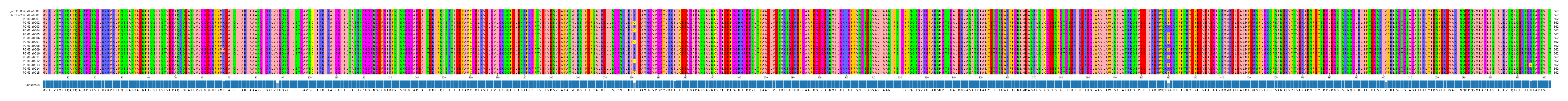 Multiple Alignments (by translate haplotype frequency)