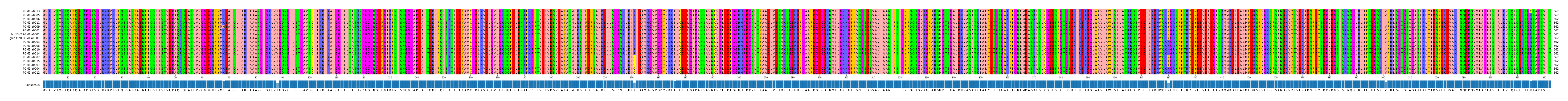 Multiple Alignments (by translate haplotype similarity)