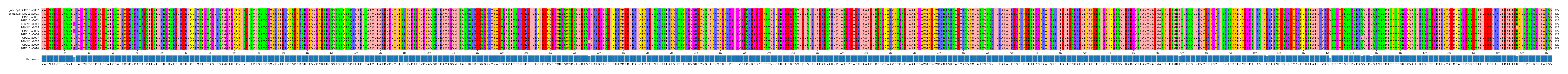 Multiple Alignments (by translate haplotype frequency)