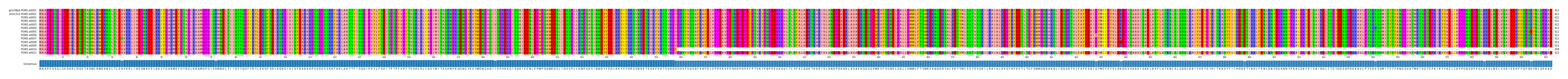 Multiple Alignments (by translate haplotype frequency)