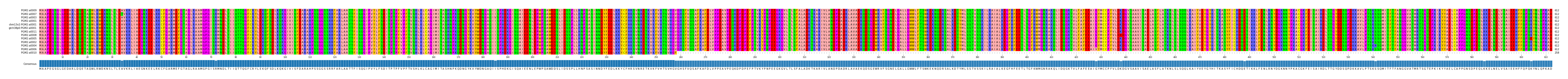 Multiple Alignments (by translate haplotype similarity)