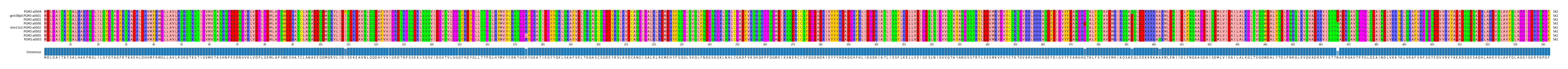 Multiple Alignments (by translate haplotype similarity)