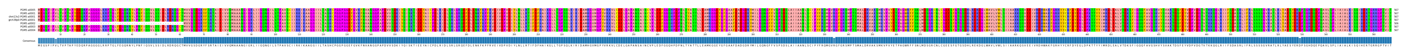 Multiple Alignments (by translate haplotype similarity)