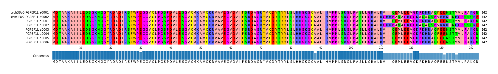 Multiple Alignments (by translate haplotype frequency)