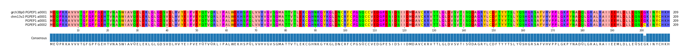 Multiple Alignments (by translate haplotype frequency)