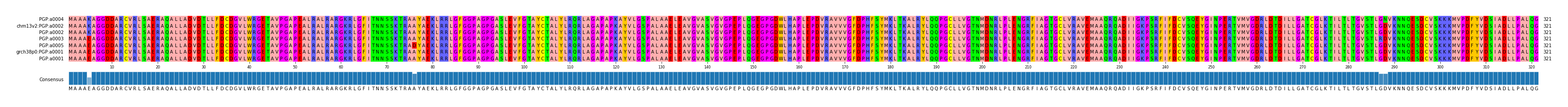 Multiple Alignments (by translate haplotype similarity)