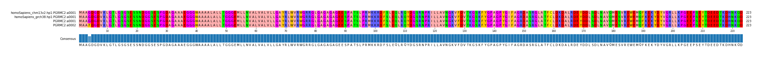Multiple Alignments (by translate haplotype similarity)