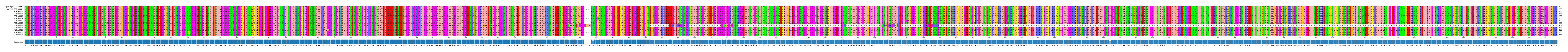 Multiple Alignments (by translate haplotype frequency)
