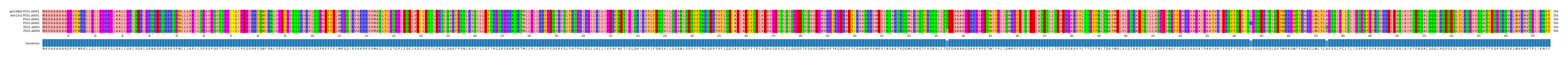 Multiple Alignments (by translate haplotype frequency)