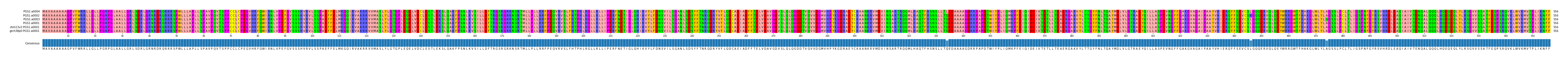Multiple Alignments (by translate haplotype similarity)