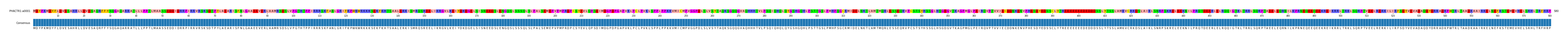 Multiple Alignments (by translate haplotype similarity)