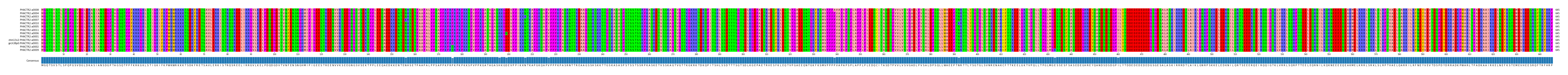 Multiple Alignments (by translate haplotype similarity)