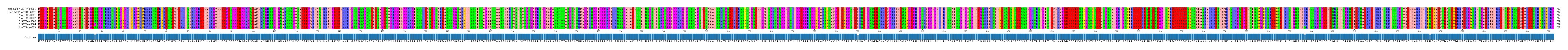 Multiple Alignments (by translate haplotype frequency)
