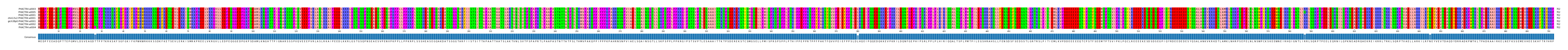 Multiple Alignments (by translate haplotype similarity)