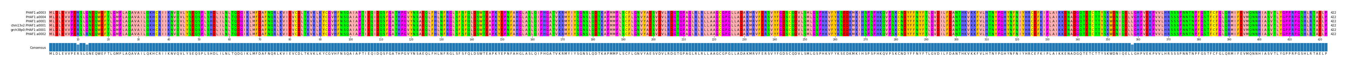 Multiple Alignments (by translate haplotype similarity)