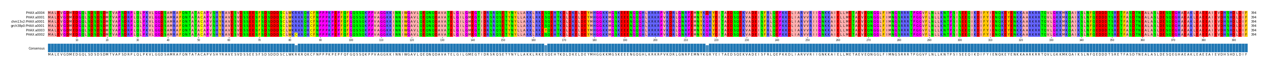 Multiple Alignments (by translate haplotype similarity)