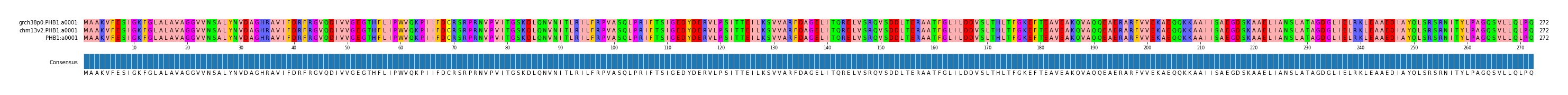 Multiple Alignments (by translate haplotype similarity)