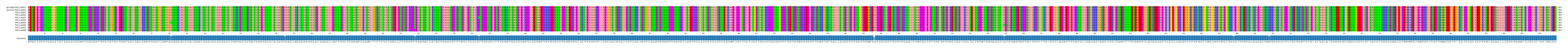 Multiple Alignments (by translate haplotype frequency)