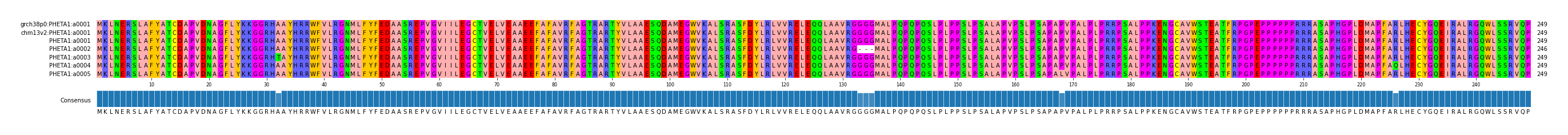 Multiple Alignments (by translate haplotype frequency)