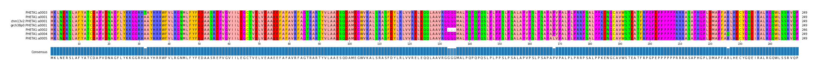 Multiple Alignments (by translate haplotype similarity)