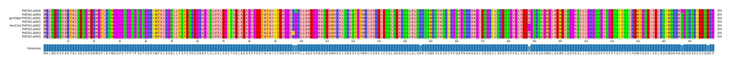 Multiple Alignments (by translate haplotype similarity)