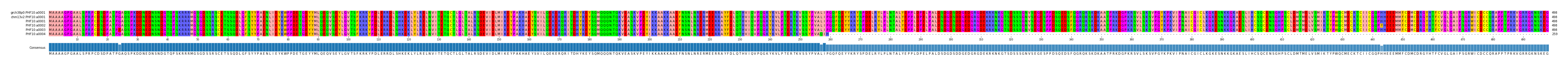 Multiple Alignments (by translate haplotype frequency)