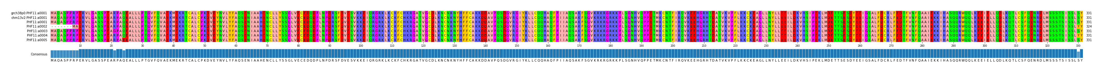 Multiple Alignments (by translate haplotype frequency)