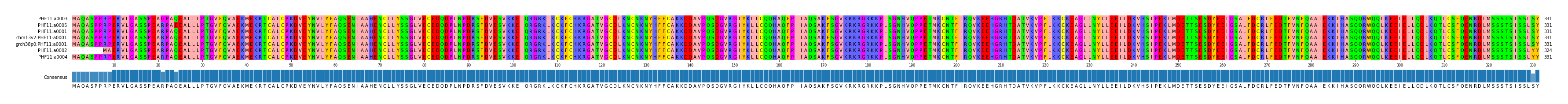 Multiple Alignments (by translate haplotype similarity)